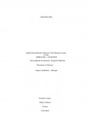 PARTES DEL MICROSCOPIO