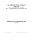 Proyecto democratico y realidad social