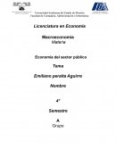 Economia en el sector publico