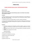 Contenidos: Rol del Estado. Niveles Micro-Meso y Macro del rol del Estado