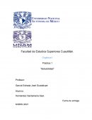 Practica 1 solubilidad organica 1