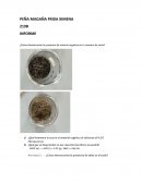 ¿Cómo demostrarías la presencia de materia orgánica en tu muestra de suelo?