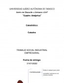 TRABAJO SOCIAL INDUSTRIAL EMPRESARIAL