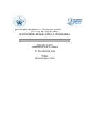 Componentes de la Carga física