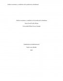 Analisis economico y estadistico de la produccion colombiana