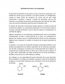 Ahumado de carnes y sus compuestos