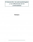 El desarrollo, las psicopatologías y sus influencias en la criminalidad