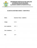 ANATOMIA GINECO-OBSTETRICA