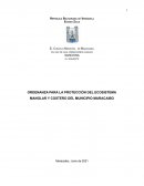 Ordenanza Proteccion Manglares Maracaibo