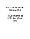 PLAN DE TRABAJO SIMULACRO HIELO CRYSTAL DE LEÓN S.A. DE C.V.