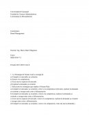 Cuestionario Brand Management