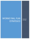 Diagnóstico de la PyME seleccionada