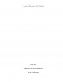 Formas de ordenacion de la conducta