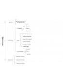 Articulaciones del cuerpo notas