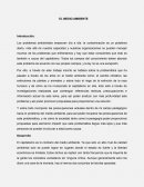 El medio ambiente su problema y propuestas