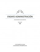 Ensayo administración noticia economica