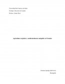 Agricultura orgánica y ambientalmente amigable en Ecuador