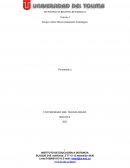 Ensayo sobre Direccionamiento Estrategico