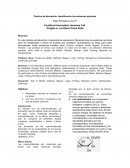 Practica de laboratorio: identificación de sustancias químicas