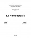 Homeostasis