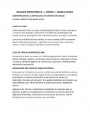 RESUMEN EXPOSICIÓN EQ. 1. UNIDAD 1. GENERALIDADES