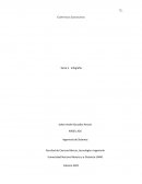 Competencias Comunicativas Tarea 5 - Infografía