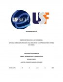 Actividad: Correlacion de el video de "la mata viejitas" y la exposicion ( breve historia del crimen)