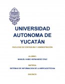 SISTEMAS DE INFORMACION DE LA MERCADOTECNIA