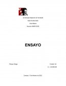 Internet, Red e Intranet