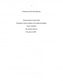 Ensayo académico: Violación a los Derechos Humanos