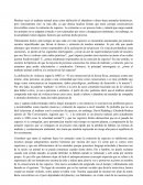 Maltrato hacia los animales