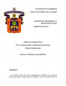 DIVISION DE DESARROLLO BIOTECNOLOGICO