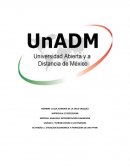 SITUACION ECONOMICA Y FINANCIERA DE UNA PYME