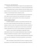 Comprensión lectora: subjetividad/objetividad