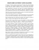 Perros y gatos callejeros