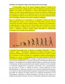 Contenido: Farmacognosia: Origen y Naturaleza química de las drogas