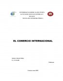 INFORME COMERCIO INTERNACIONAL