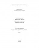 FUNDAMENTOS CONCEPTUALES: HISTORIA