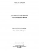 INFORME DE LABORATORIO. PRÁCTICA INICIAL: CERO