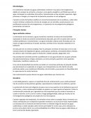 CONTAMINACION MICROBIOLOGICA