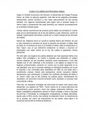 El AED Y EL DERECHO PROCESAL PENAL