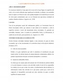 CALENTAMIENTO GLOBAL EN ECUADOR