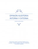 OPINION AUDITORIA INTERNA Y EXTERNA