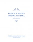 OPINION AUDITORIA INTERNA Y EXTERNA