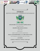 Entendiendo a la organización