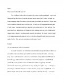 De que están echos el vilonchelo en voz pasiva