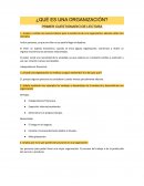 ¿Qué es una organización?