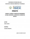 ¿Puede el cambio a fuentes de bioenergía (etanol biodiesel) aumentar el bienestar social?