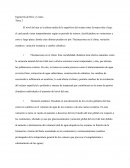 Ingeniería de Ríos y Costas