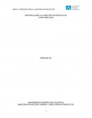 INTRODUCCIÓN A LA GESTIÓN DE PROYECTOS